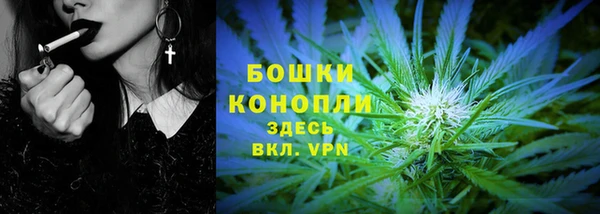 мет Бородино