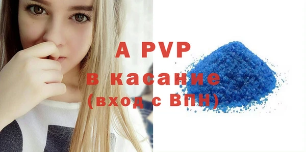 apvp Верея
