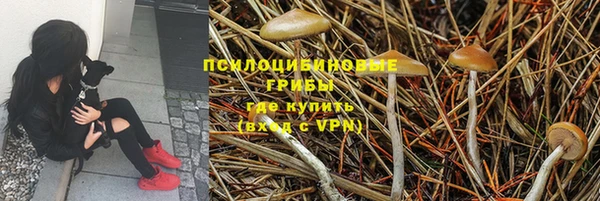 ГАЛЛЮЦИНОГЕННЫЕ ГРИБЫ Верхнеуральск