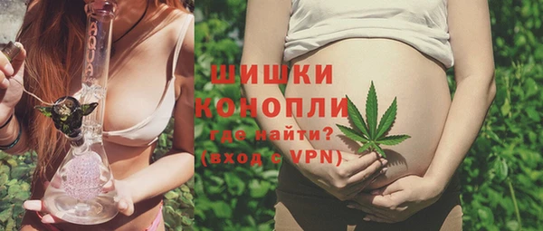 apvp Верея