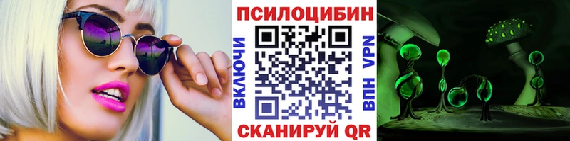 mega ССЫЛКА  Кузнецк  Псилоцибиновые грибы GOLDEN TEACHER  наркота 