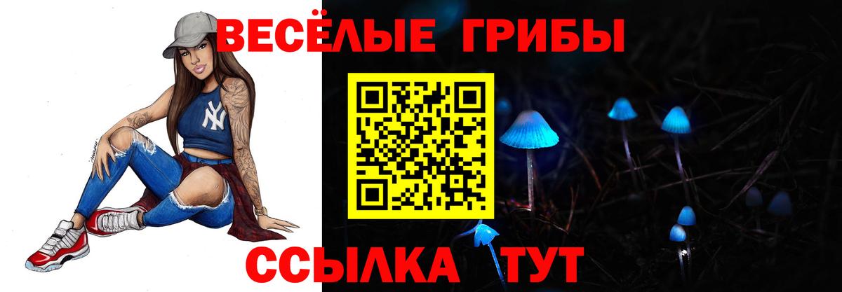 Кузнецк  Псилоцибиновые грибы ЛСД  Вход с VPN 
